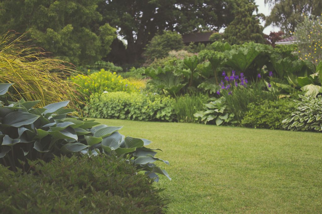 tuin onderhoud weinig tijd