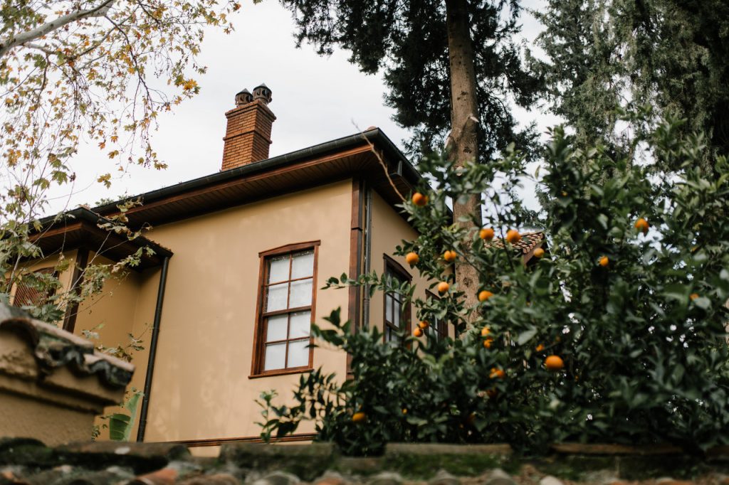 gevel huis met sinaasappelboom
